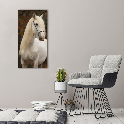 Staand foto in plexiglas Wit paard