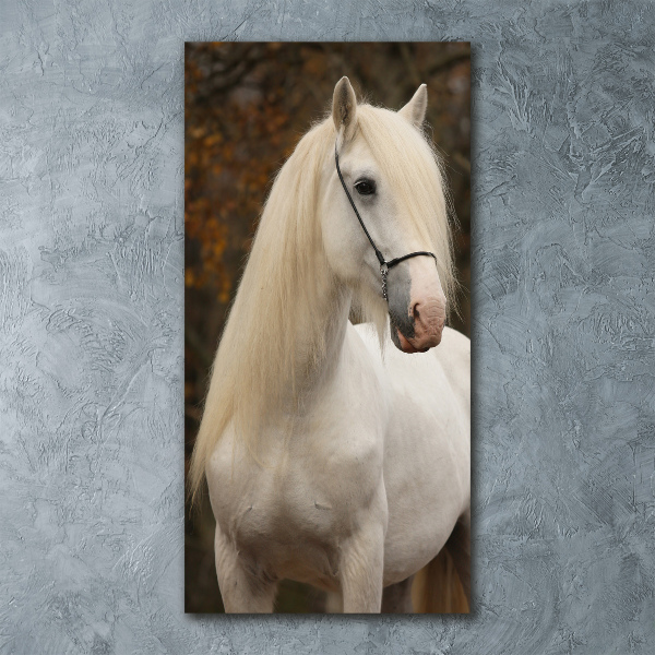 Staand foto in plexiglas Wit paard