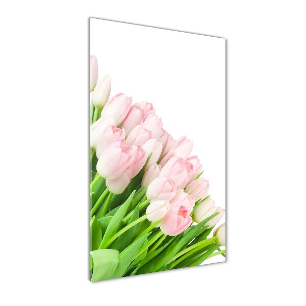 Staand plexiglas foto Roze tulpen