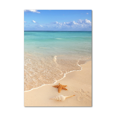 Staand foto in plexiglas Zeesterren op het strand