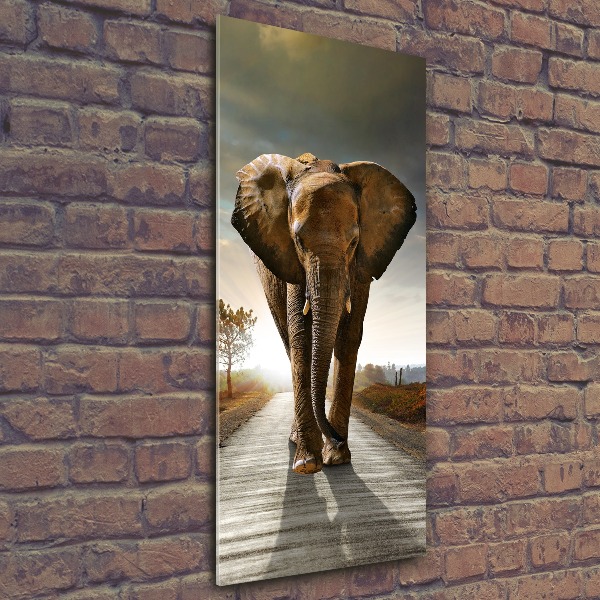 Staand plexiglas foto Lopende olifant