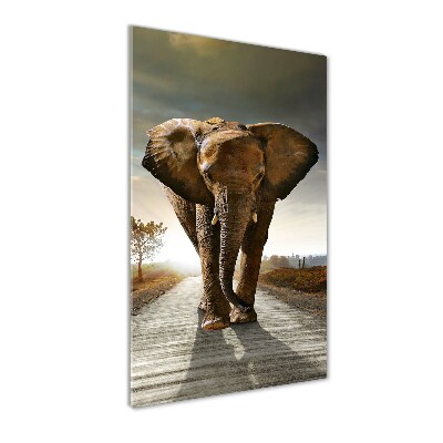 Staand plexiglas foto Lopende olifant