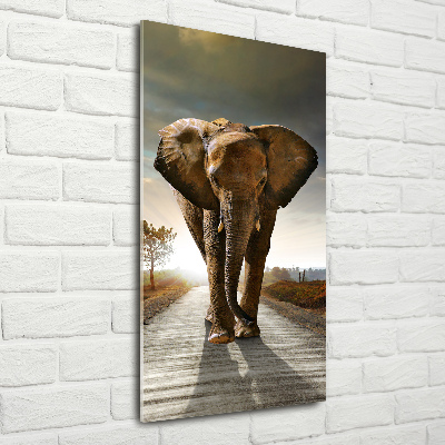Staand plexiglas foto Lopende olifant