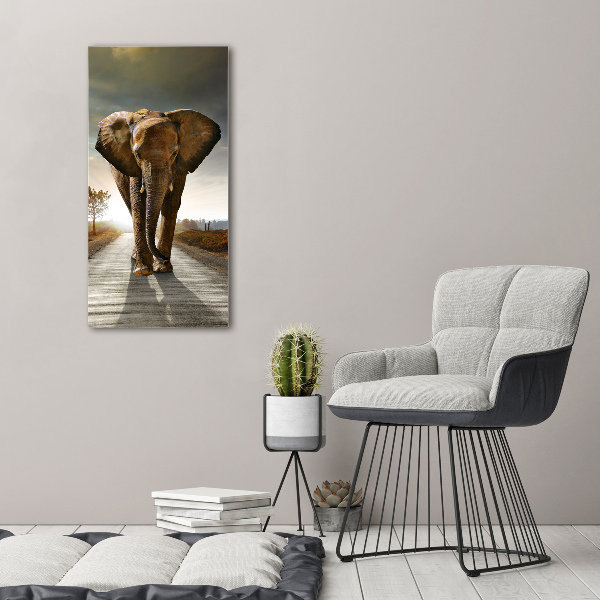 Staand plexiglas foto Lopende olifant