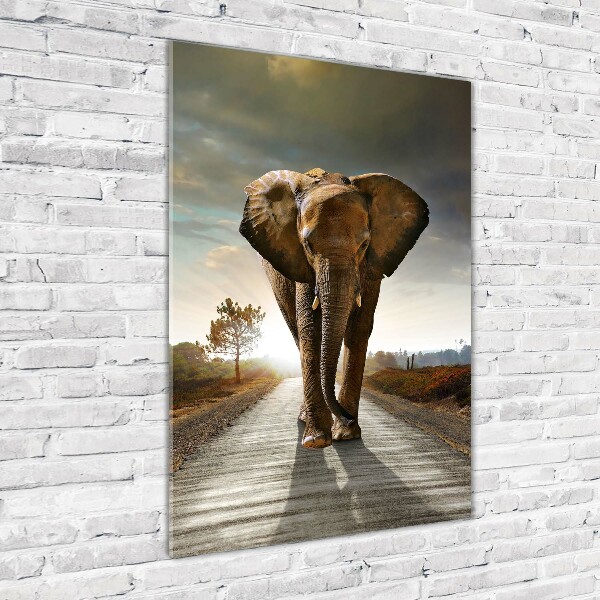 Staand plexiglas foto Lopende olifant
