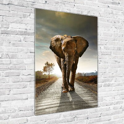 Staand plexiglas foto Lopende olifant