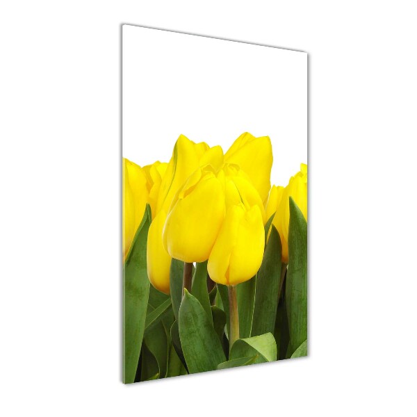 Staand foto op plexiglas Gele tulpen