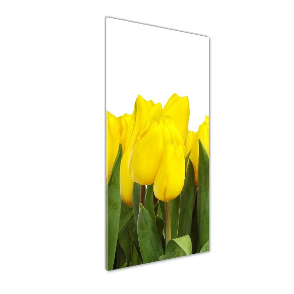 Staand foto op plexiglas Gele tulpen