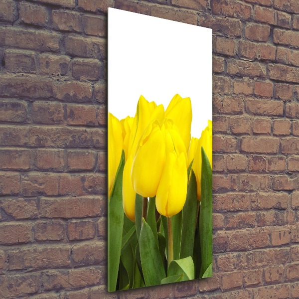 Staand foto op plexiglas Gele tulpen
