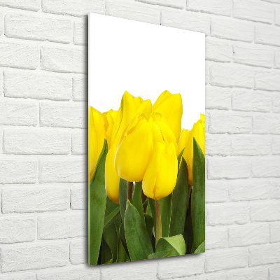 Staand foto op plexiglas Gele tulpen