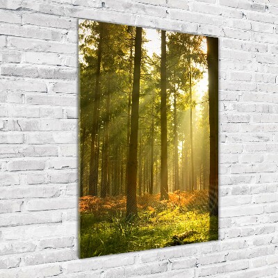 Staand plexiglas foto Prachtig bos
