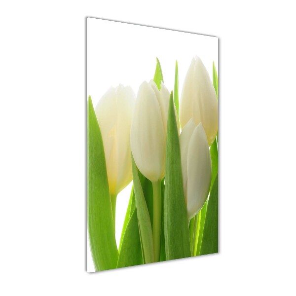 Staand plexiglas foto Witte tulpen