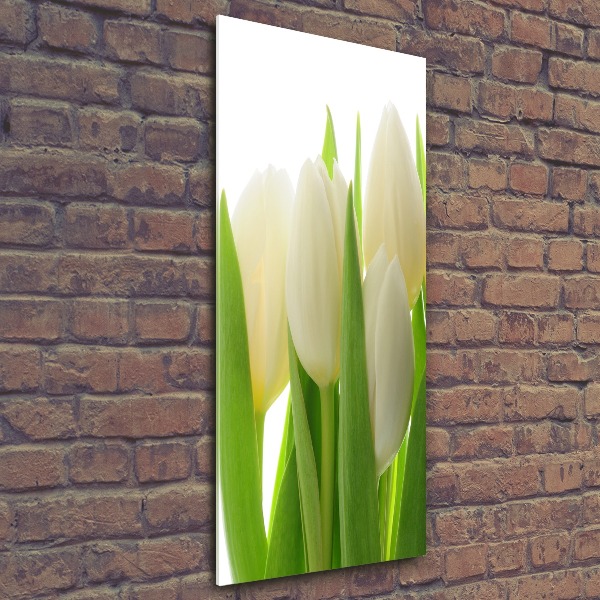 Staand plexiglas foto Witte tulpen