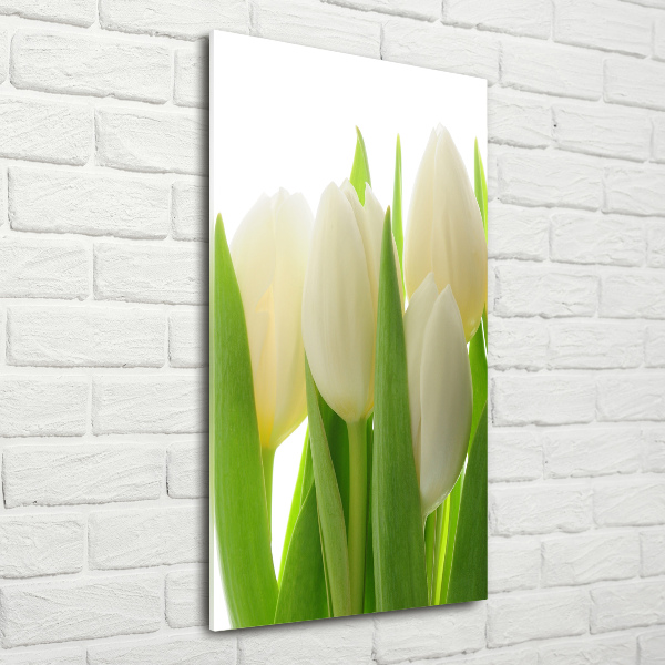 Staand plexiglas foto Witte tulpen
