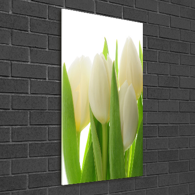 Staand plexiglas foto Witte tulpen