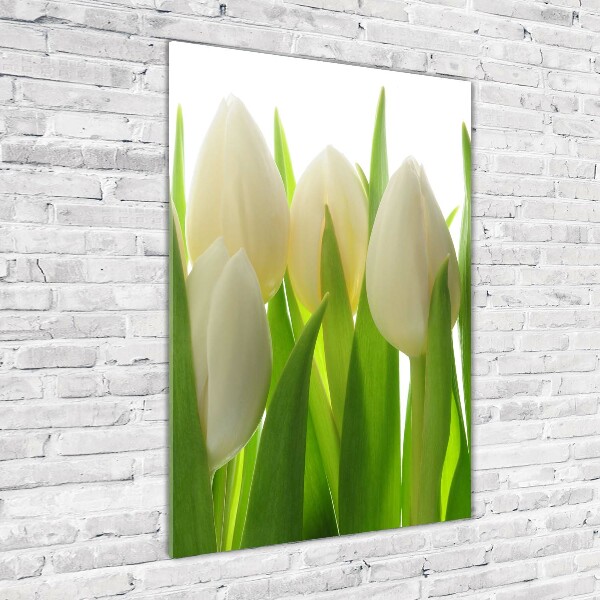 Staand plexiglas foto Witte tulpen