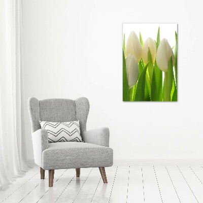 Staand plexiglas foto Witte tulpen