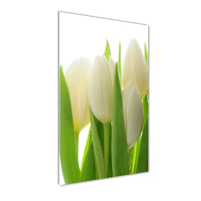 Staand plexiglas foto Witte tulpen