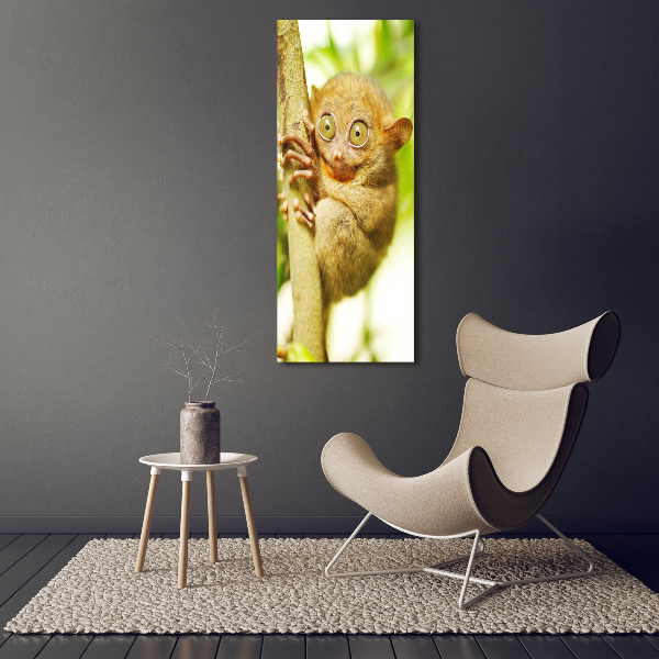 Staand foto plexiglas Spooktarsier