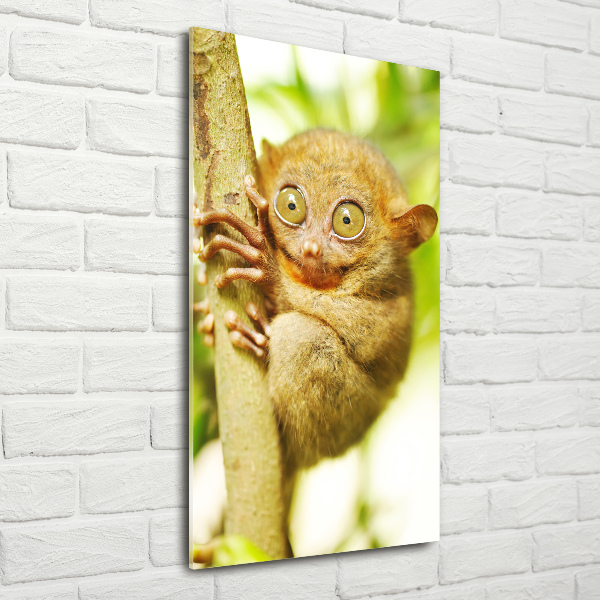 Staand foto plexiglas Spooktarsier