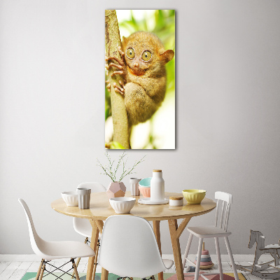 Staand foto plexiglas Spooktarsier