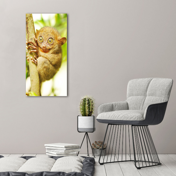 Staand foto plexiglas Spooktarsier