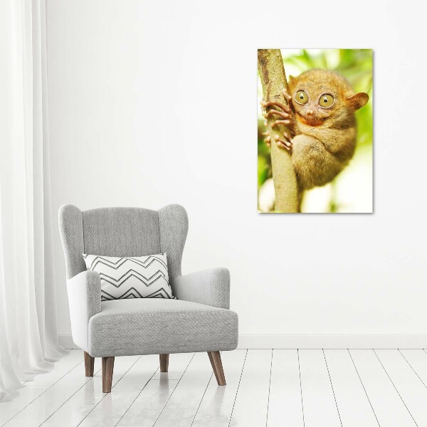 Staand foto plexiglas Spooktarsier