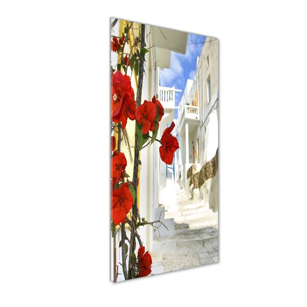 Staand plexiglas foto Mykonos, Griekenland