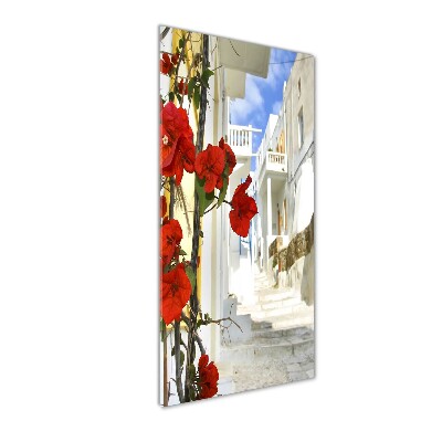 Staand plexiglas foto Mykonos, Griekenland