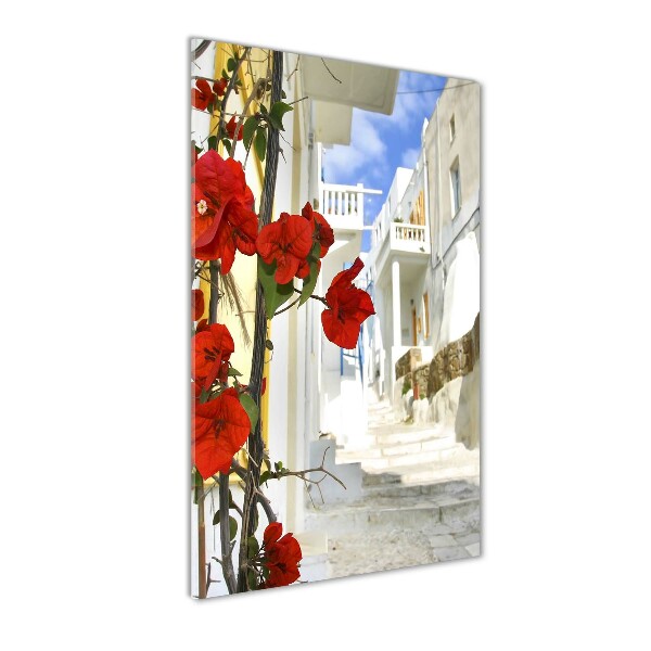 Staand plexiglas foto Mykonos, Griekenland