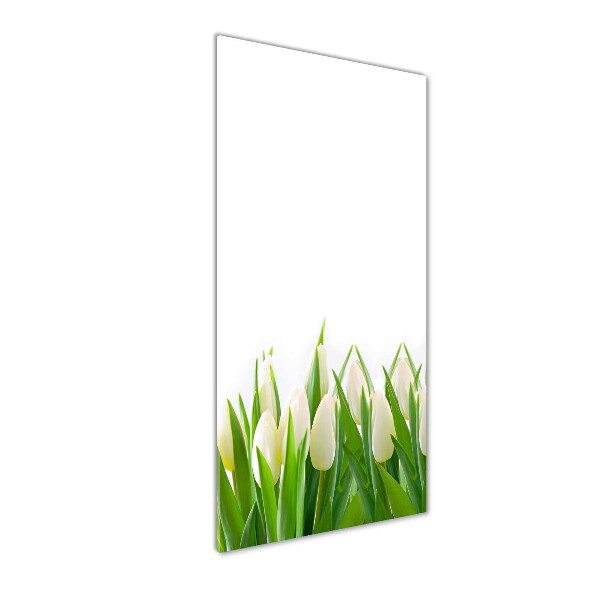 Staand foto plexiglas Witte tulpen