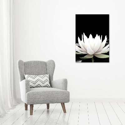 Staand foto in plexiglas Lotusbloem