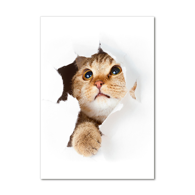 Staand foto op plexiglas Kat