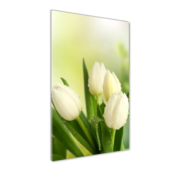 Staand foto plexiglas Witte tulpen