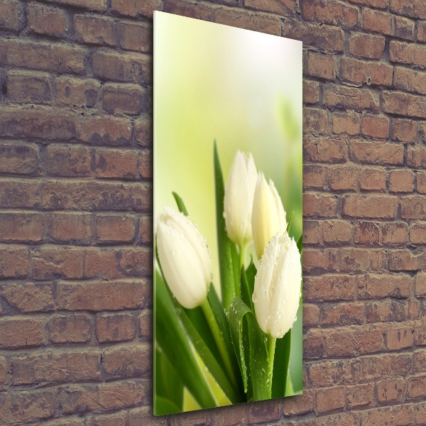Staand foto plexiglas Witte tulpen