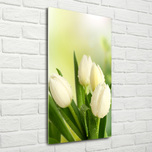 Staand foto plexiglas Witte tulpen