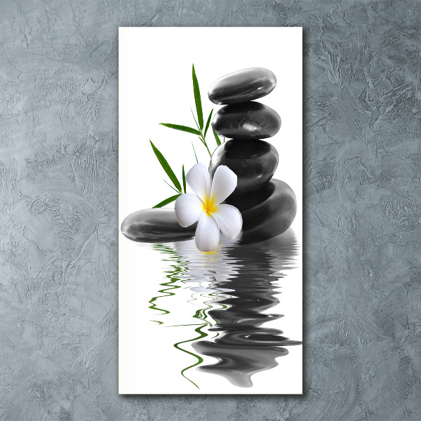 Staand foto plexiglas Orchidee en stenen