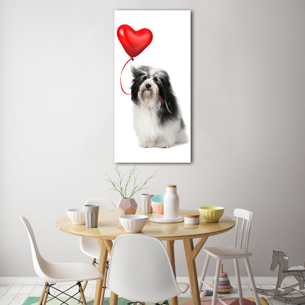 Staand foto plexiglas Havanese met een ballon