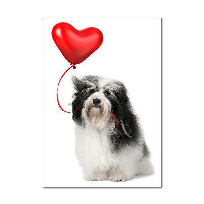 Staand foto plexiglas Havanese met een ballon