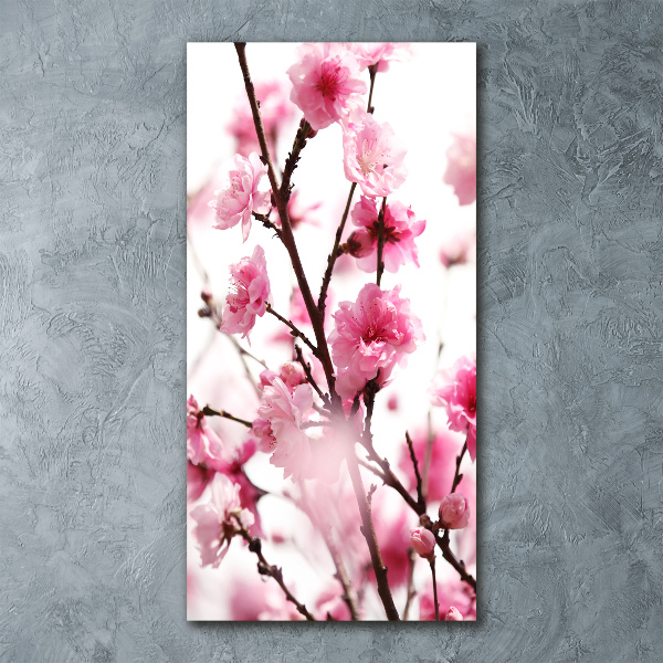 Staand foto op plexiglas Pruimenbloesems