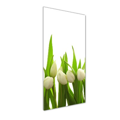 Staand foto plexiglas Witte tulpen