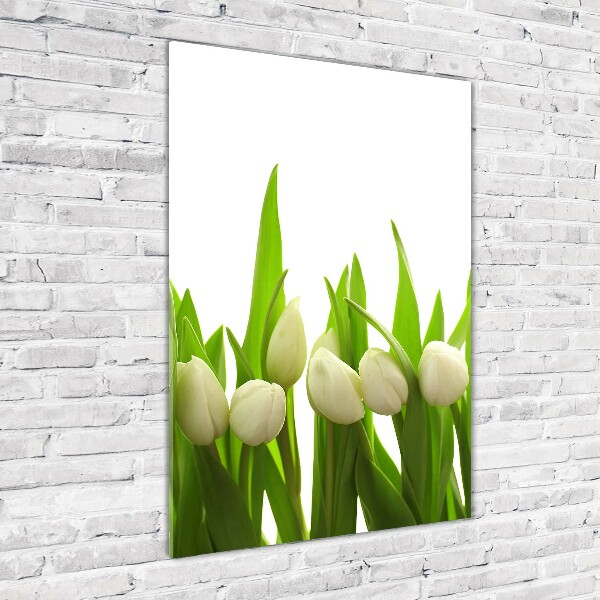 Staand foto plexiglas Witte tulpen