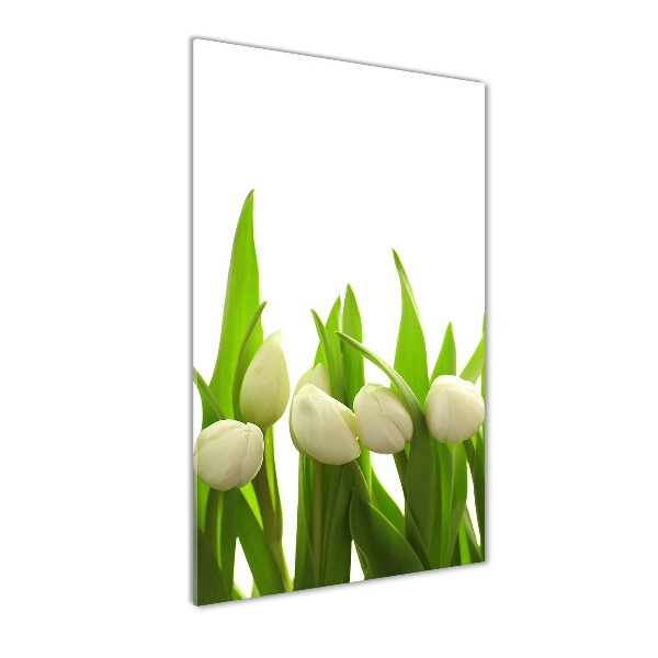 Staand foto plexiglas Witte tulpen