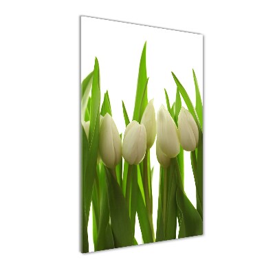Staand foto in plexiglas Witte tulpen