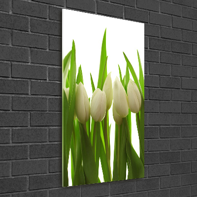 Staand foto in plexiglas Witte tulpen
