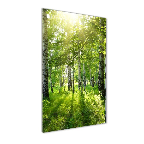 Staand foto plexiglas Berkenbos