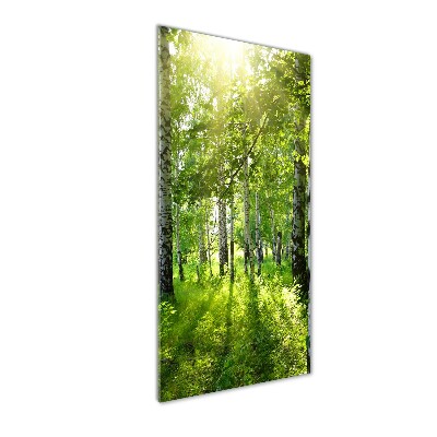 Staand foto plexiglas Berkenbos