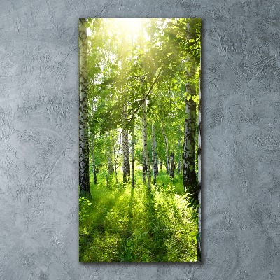 Staand foto plexiglas Berkenbos