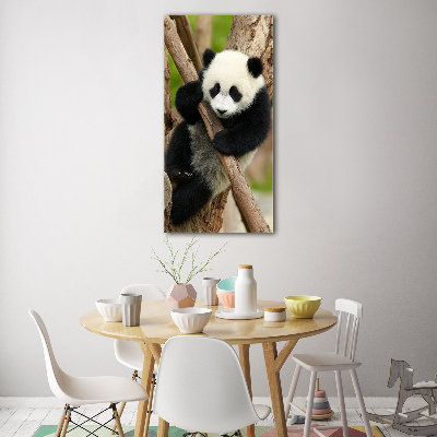 Staand foto op plexiglas Panda in een boom