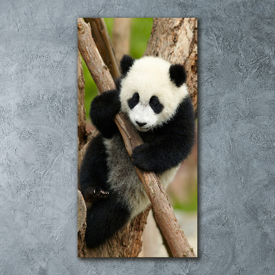 Staand foto op plexiglas Panda in een boom